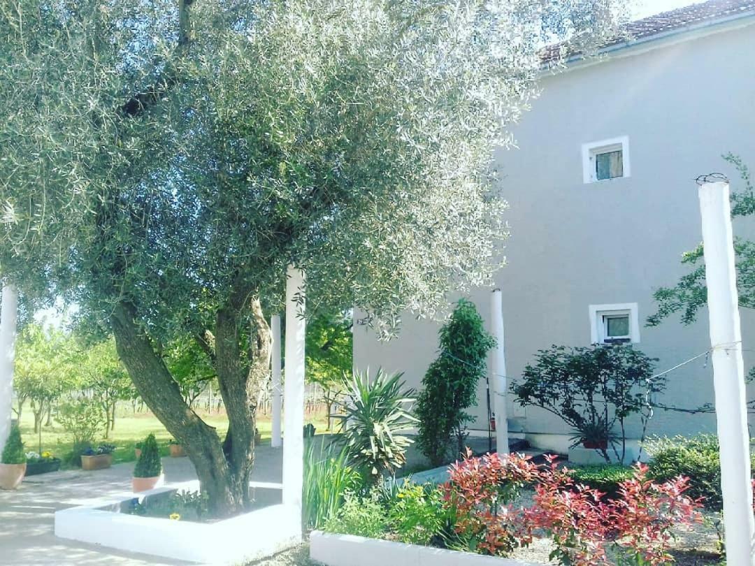 Rooms Nikola Rule Ostojic Međugorje 외부 사진